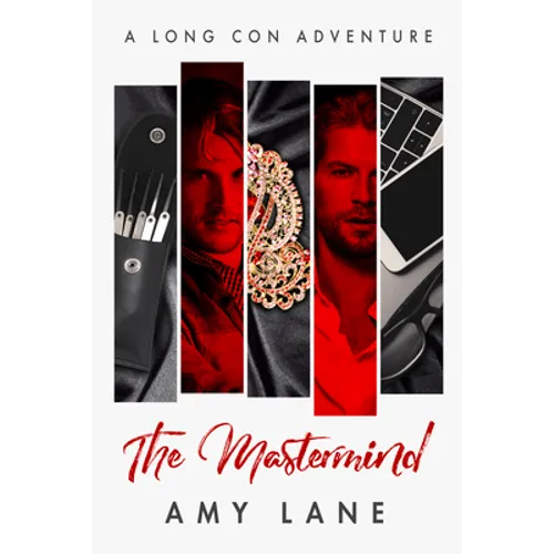 The MasterMind: Volume 1 - Paperback