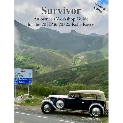 Survivor - Paperback
