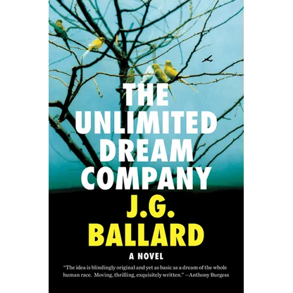 Unlimited Dream Company - Paperback