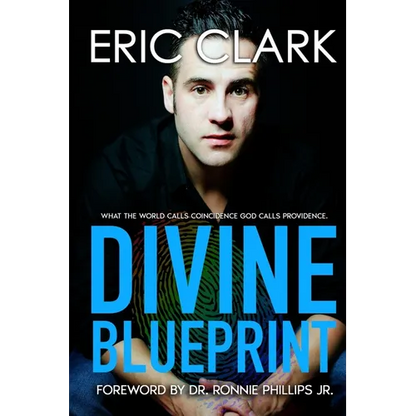 Divine Blueprint: What the World Calls Coincidence God Calls Providence - Paperback