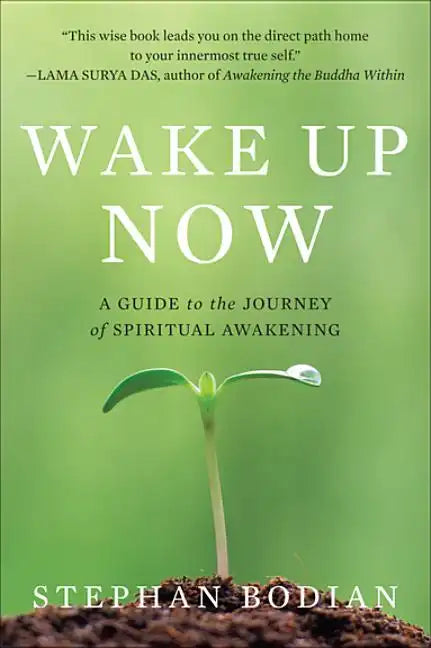 Wake Up Now - Paperback
