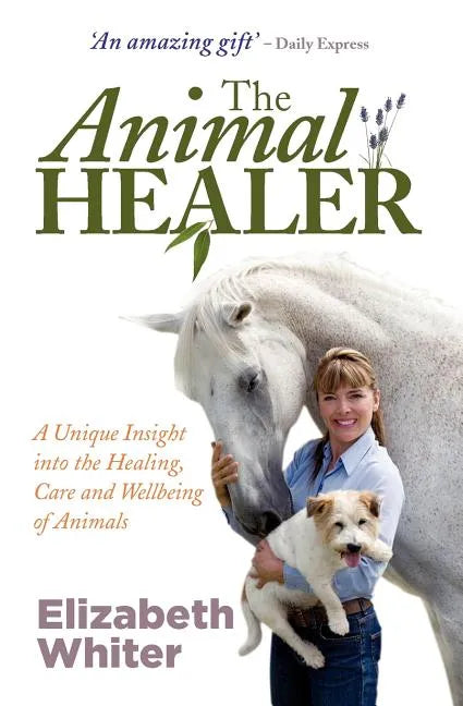 The Animal Healer - Paperback