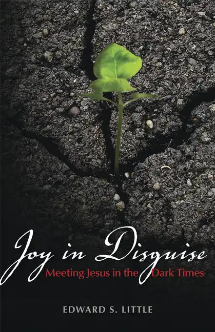 Joy in Disguise: Meeting Jesus in the Dark Times - Paperback