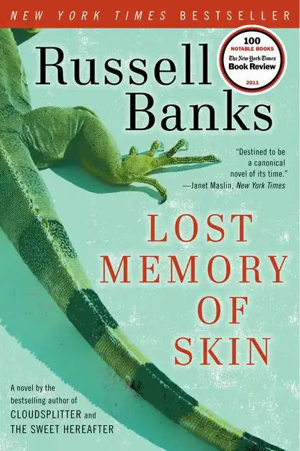 Lost Memory of Skin - Paperback