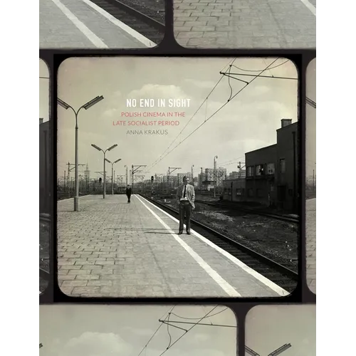No End in Sight: Polish Cinema in the Late Socialist Period - Paperback