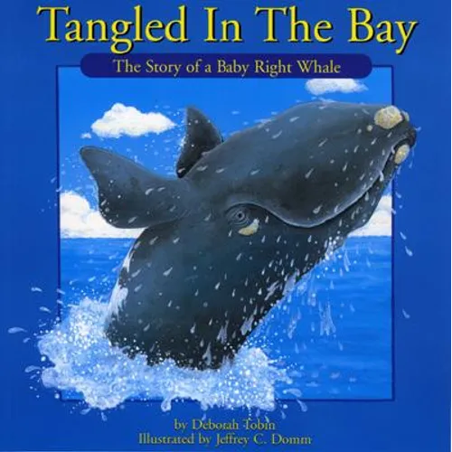 Tangled in the Bay - Paperback