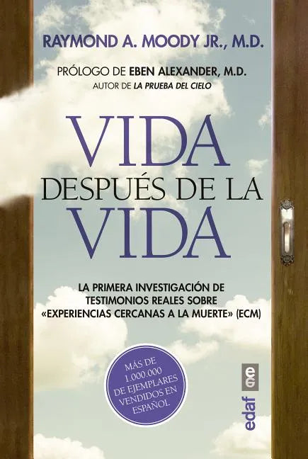 Vida Despues de la Vida -V3* - Paperback