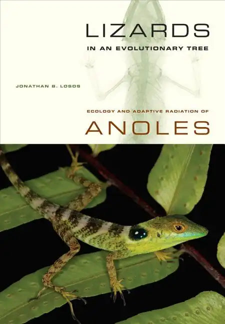 Lizards in an Evolutionary Tree: Ecology and Adaptive Radiation of Anoles Volume 10 - Paperback
