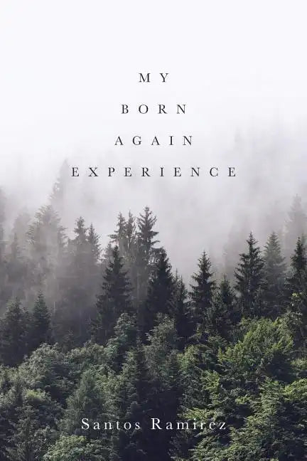 My Born Again Experience - Paperback