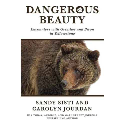 Dangerous Beauty: Encounters with Grizzlies and Bison in Yellowstone - Paperback