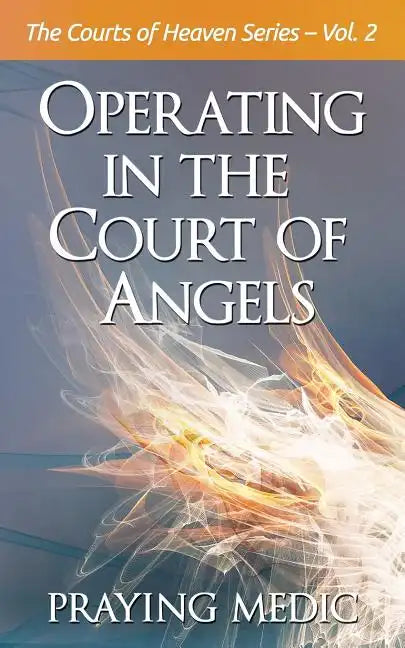Operating in the Court of Angels - Paperback