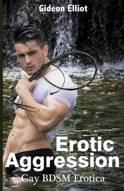 Erotic Aggression: Gay BDSM Erotica - Paperback