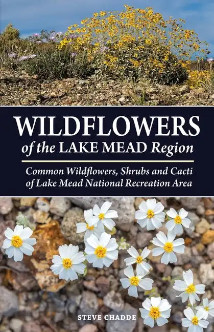 Wildflowers of the Lake Mead Region - Paperback