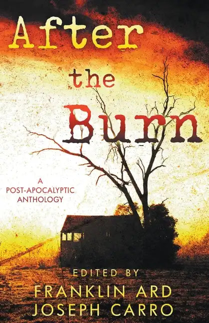 After the Burn - Paperback