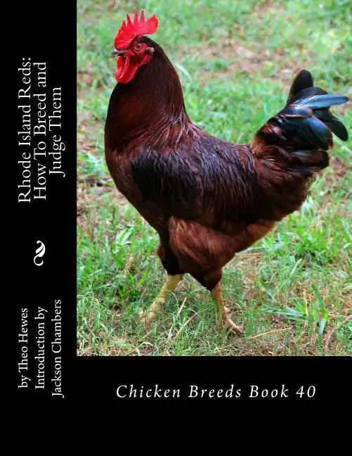 Rhode Island Reds: How To Breed and Judge Them: Chicken Breeds Book 40 - Paperback