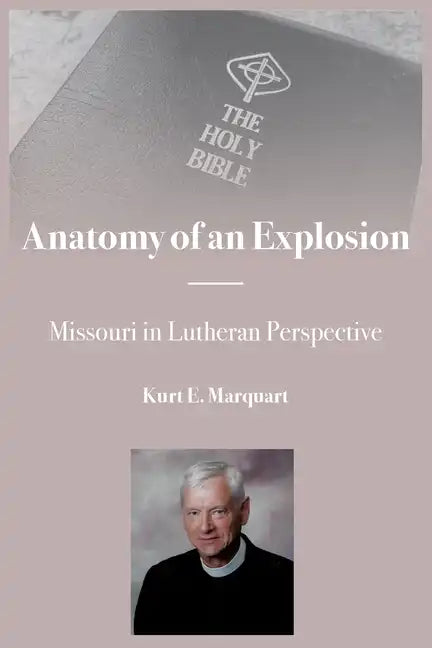 Anatomy of an Explosion - Paperback