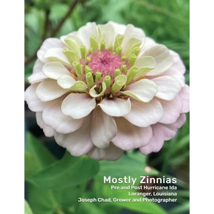 Mostly Zinnias: Flower Photos Pre and Post Hurricane Ida - Paperback