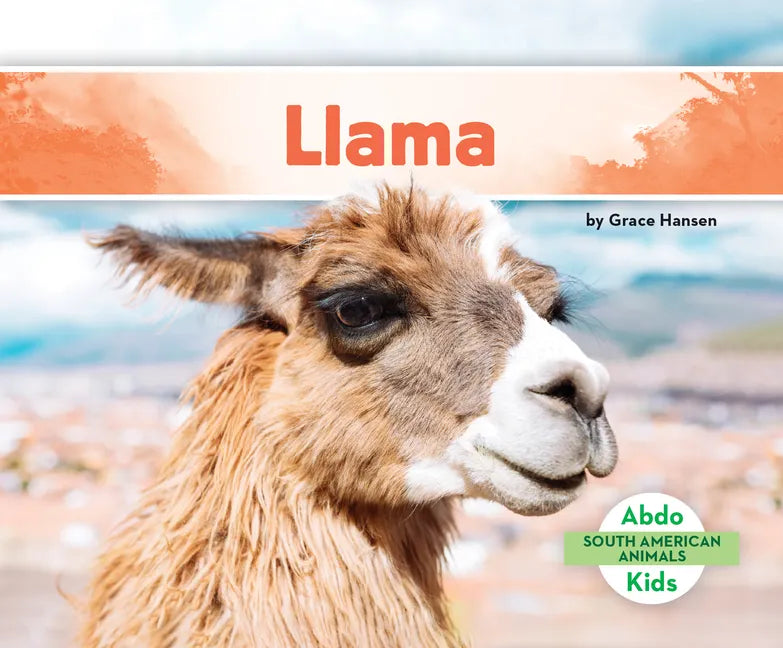Llama - Library Binding