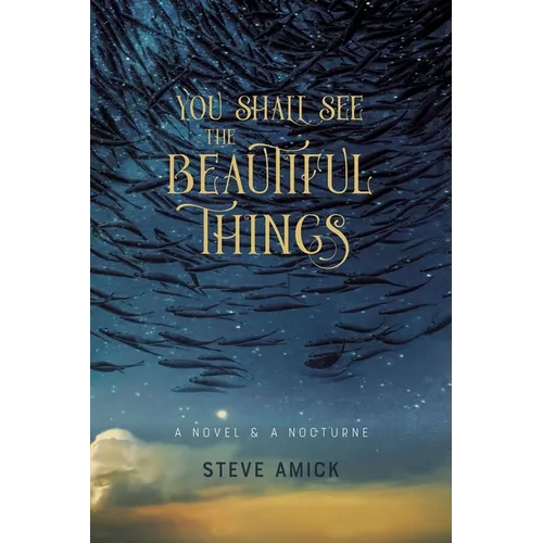 You Shall See the Beautiful Things: A Novel & a Nocturne - Paperback