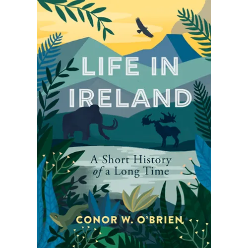 Life in Ireland: A Short History of a Long Time - Paperback
