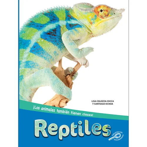 Reptiles: Reptiles - Paperback