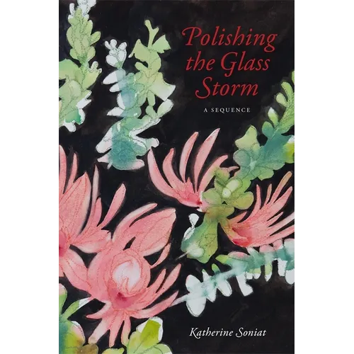 Polishing the Glass Storm: A Sequence - Paperback