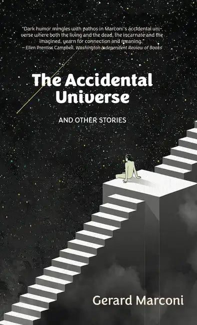 The Accidental Universe and Other Stories - Hardcover