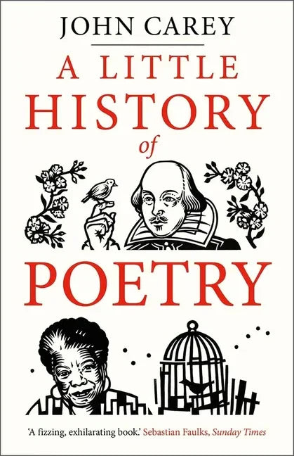 A Little History of Poetry - Paperback