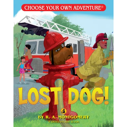 Lost Dog! - Paperback