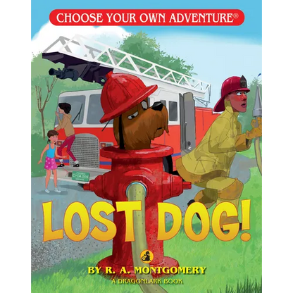 Lost Dog! - Paperback