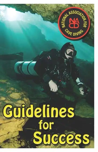Guidelines for Success - Paperback