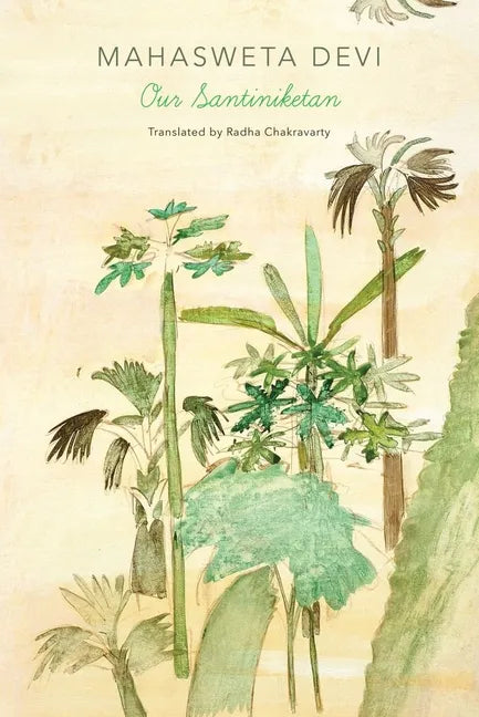Our Santiniketan - Hardcover