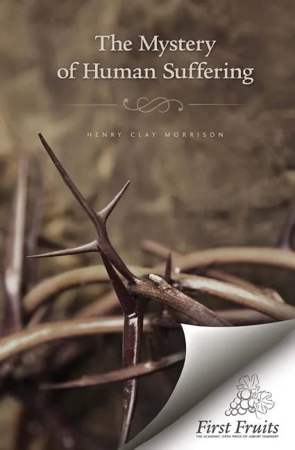 The Mystery of Human Suffering - Paperback
