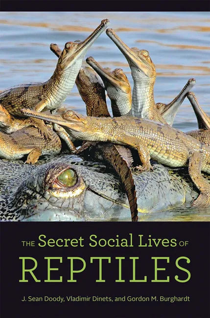 The Secret Social Lives of Reptiles - Hardcover
