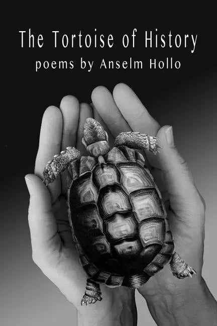 The Tortoise of History - Paperback