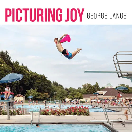 Picturing Joy: Stories of Connection - Hardcover