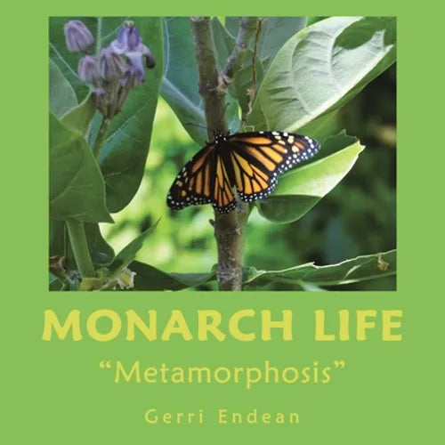 Monarch Life: "Metamorphosis" - Paperback