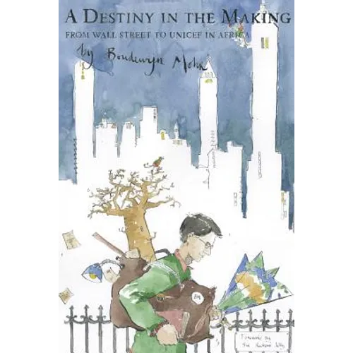 A Destiny in the Making: From Wall Street to Unicef in Africa - Paperback