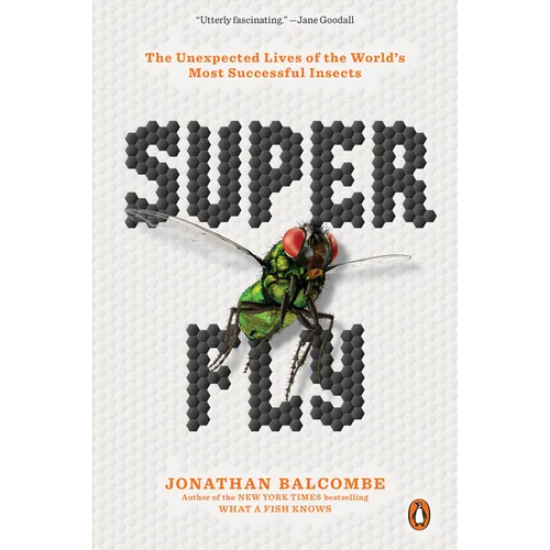 Super Fly: The Unexpected Lives of the World's Most Successful Insects - Paperback
