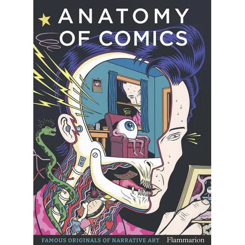 Anatomy of Comics: Famous Originals of Narrative Art - Paperback