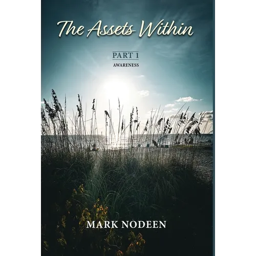 The Assets Within, Part I - Awareness - Hardcover