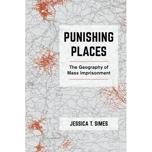 Punishing Places: The Geography of Mass Imprisonment - Paperback