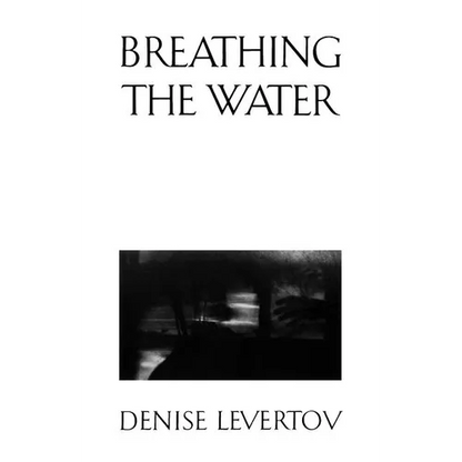 Breathing the Water - Paperback
