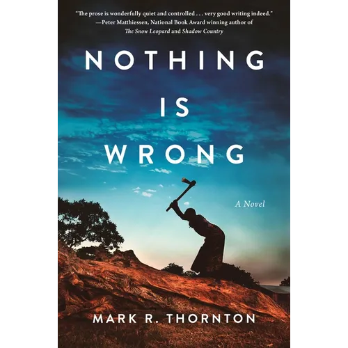 Nothing Is Wrong - Hardcover