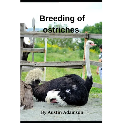 breeding of ostriches - Paperback