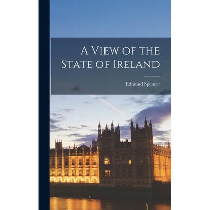 A View of the State of Ireland - Hardcover