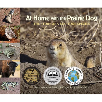 At Home with the Prairie Dog: The Story of a Keystone Species - Hardcover