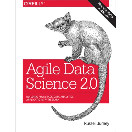 Agile Data Science 2.0: Building Full-Stack Data Analytics Applications with Spark - Paperback