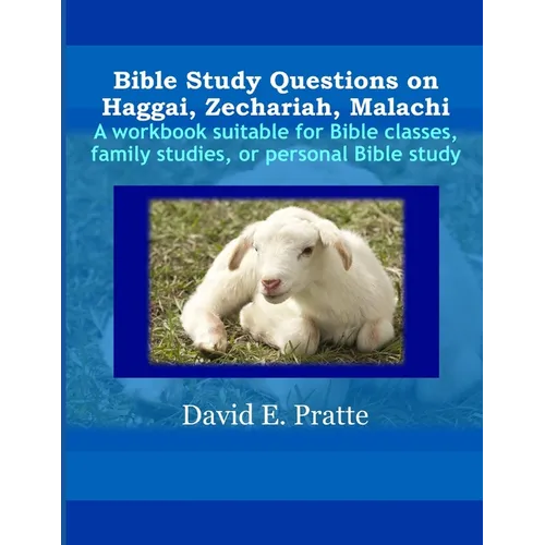Bible Study Questions on Haggai, Zechariah, Malachi: A workbook suitable for Bible classes, family studies, or personal Bible study - Paperback