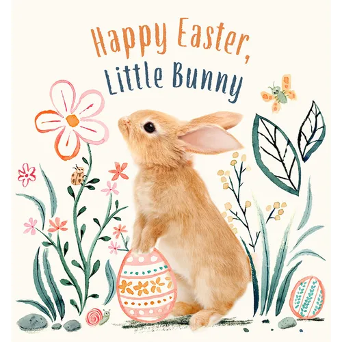 Happy Easter, Little Bunny: A Board Book - Board Book